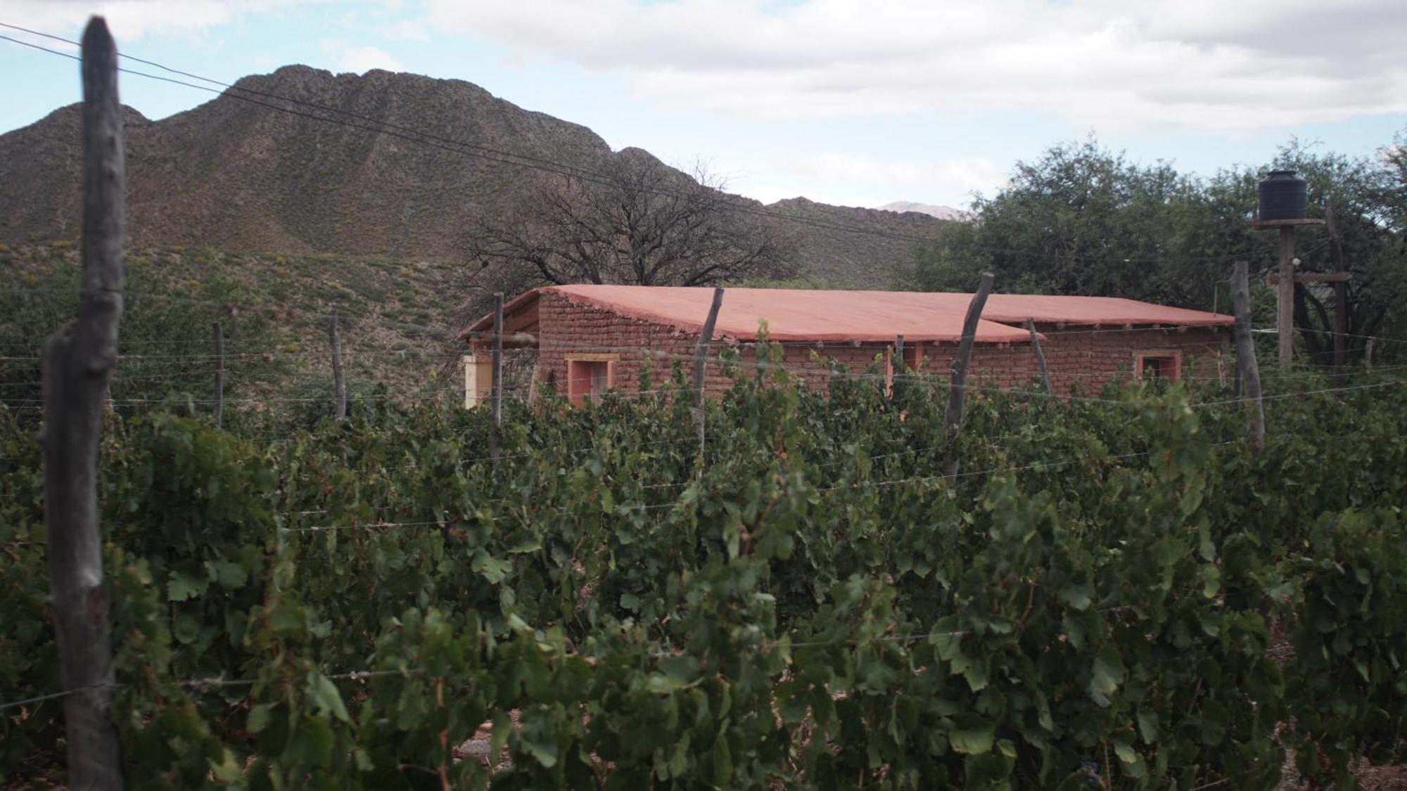 Hospedaje Finca La Encantada Seclantás 외부 사진